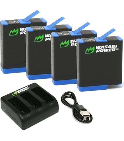 Amazon.com : GoPro AABAT-001 Camera Rechargeable Replacement